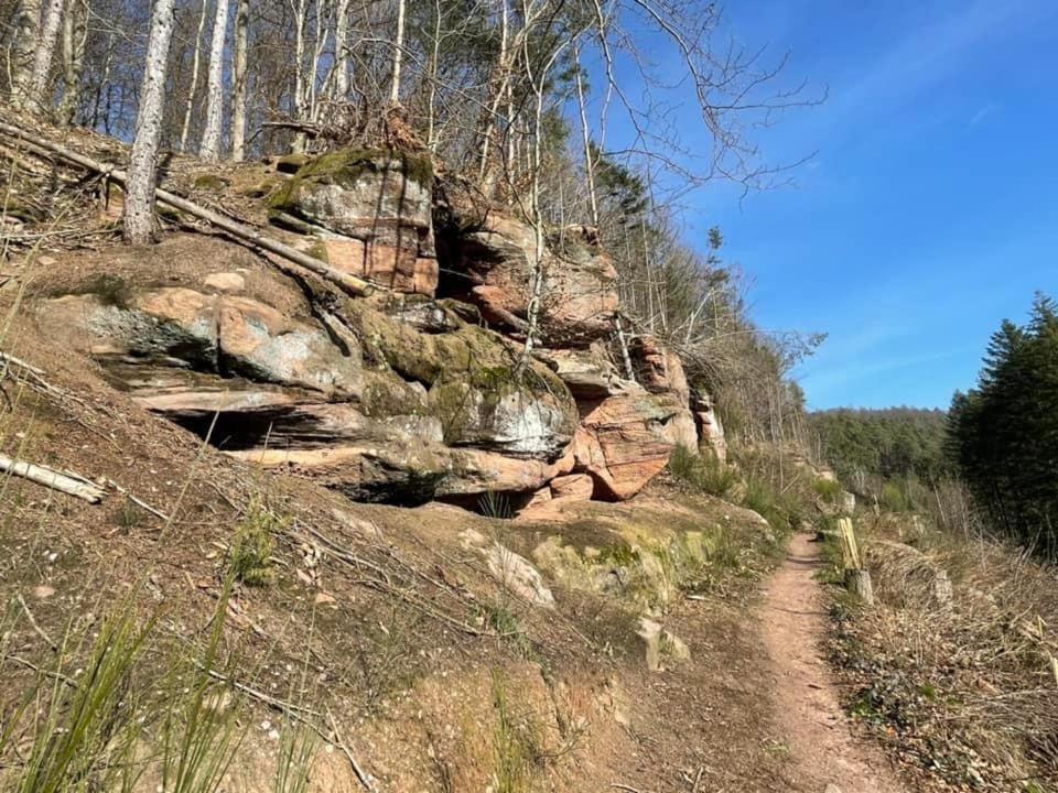 Apartament Ferienwohung Am Felsenwanderweg Im Pfaelzerwald Rodalben Zewnętrze zdjęcie
