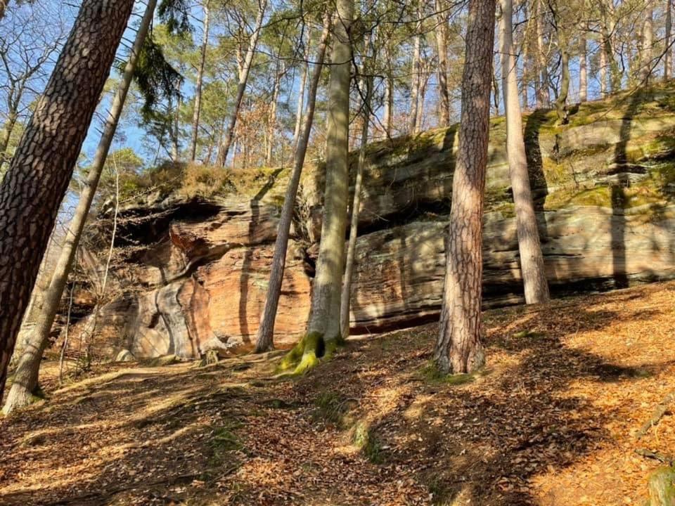 Apartament Ferienwohung Am Felsenwanderweg Im Pfaelzerwald Rodalben Zewnętrze zdjęcie